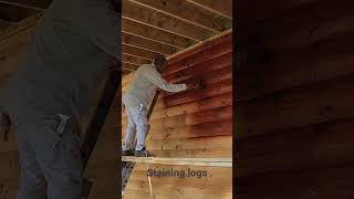 Staining logs with Sikkens The color is Mahagony [upl. by Laehctim]