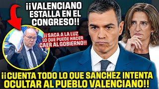 Un Diputado VALENCIANO ¡DEJA EN SHOCK AL CONGRESO😱¡REVELA LO QUE CALLA SÁNCHEZ y RIBERA de la DANA [upl. by Tedman]