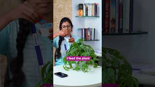 I Love the plant  English Cafe Tamil Shorts onlineenglish coimbatore englishcafetamil [upl. by Obed431]