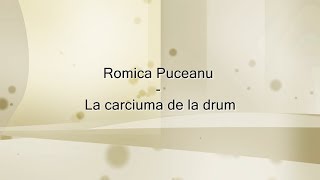 Romica Puceanu  La carciuma de la drum versuri lyrics karaoke [upl. by Burdett251]