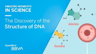 The Discovery of the Structure of DNA  AMS OpenMind [upl. by Pickens]