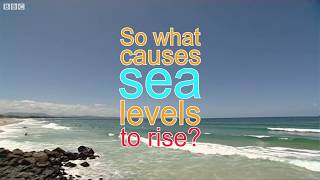 What causes rising sea levels  BBC Whats New [upl. by Haldeman]