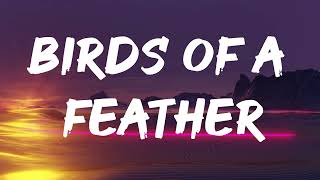 Billie Eilish  BIRDS OF A FEATHER Lyrics [upl. by Chor997]