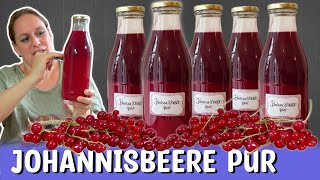 Eine schnelle Methode viele Johannisbeeren zu verarbeiten [upl. by Llehsam]