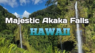 Akaka Falls State Park Hike Big Island Hawaii  Things to do in Hilo [upl. by Loutitia]