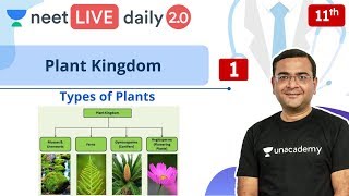 NEET Plant Kingdom  L1  Class 11  Live Daily 20  Unacademy NEET  Pradeep Sir [upl. by Nathan]