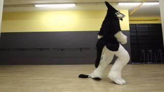 Rinn  The Great Divide VelvetineSeven Lions Remix Sergal Fursuit Freestyle [upl. by Yseulta906]