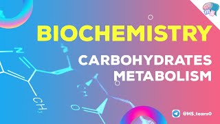 Biochemistry  Carbohydrates metabolism  lec 1 Part 1 [upl. by Symer399]