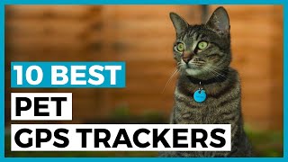 Best Pet Gps Trackers in 2024  How to find a Tracker for Your Pets [upl. by Tristan]