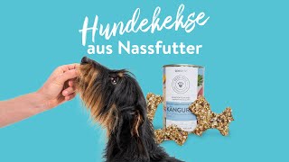 Hundekekse aus Nassfutter selbst machen [upl. by Allemaj214]