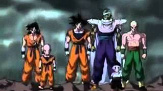 Dragonball Z Cha la Head Cha La Full german OP [upl. by Prisca840]