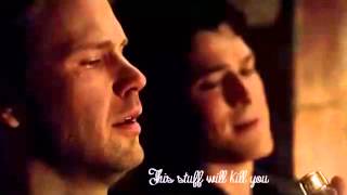 Best moments of Dalaric  The Vampire Diaries [upl. by Selohcin179]