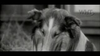 Lassie S02e07 The Monster [upl. by Joel]