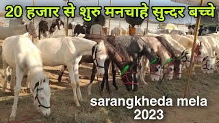 मात्र 20 हजार में मनचाहे सुन्दर बच्चे sarangkheda Chetak festival 2023 sarangkheda horse market 2023 [upl. by Pazia]