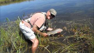 Fly Fishing Goodrich Creek at Lake Almanor Basin [upl. by Nealon]