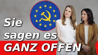 Was die Wahl der Grünen für die EU bedeuten würde [upl. by Odranreb]