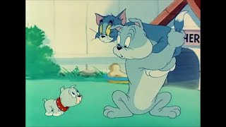 Tom and Jerry  Love That Pup 1949 [upl. by Enirok821]