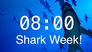 8 Minute Countdown Timer with Alarm  Relaxing Music  Shark Timer [upl. by Spooner]