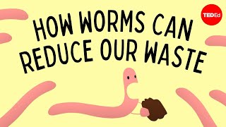 Vermicomposting How worms can reduce our waste  Matthew Ross [upl. by Deny]