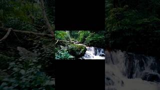 Morni baaga ma bole  beautiful small river flowing over the forests music video shots viral🥰 [upl. by Hayden394]