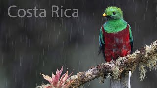 Costa Rica Photo Tour [upl. by Neltiak424]