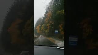 2024 Fall in Malahat BC [upl. by Tloh265]