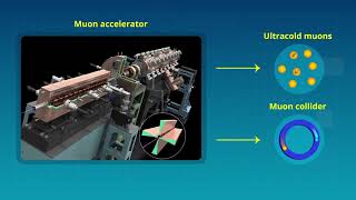 Testing the Viability of Muon Accelerators [upl. by Welch221]