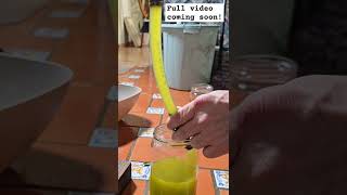 Making Olive Oil Separating the Oil and Water [upl. by Earehc]