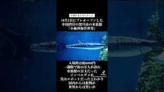 水族館の一番の目玉のジンベエザメが実はロボットだった！？中国湾岸の深圳市の水族館「小梅沙海洋世界」 [upl. by Ellessig]