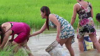 Beautiful Girl Fishing Amazing Fishing at Battambang How To Catch Fish By Hand 57 [upl. by Odelet]