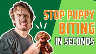 How to Stop Puppy Biting  Quick Stops in Seconds [upl. by Alverson]