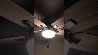 Electric fan make noise like siren 😂 [upl. by Gristede]