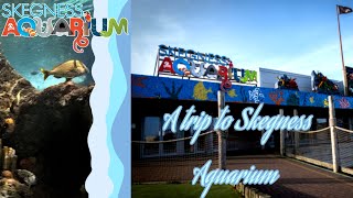 Skegness Aquarium Vlog June 2024 [upl. by Peder103]