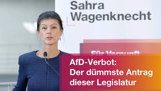 AfDVerbot Der dümmste Antrag dieser Legislatur [upl. by Fife]