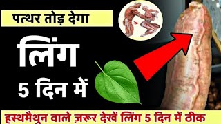 पान के पत्ते के फायदे benefits in pan [upl. by Harpole]