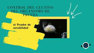 Bioensayo de toxicidad aguda con Daphnia magna [upl. by Ahsaf]