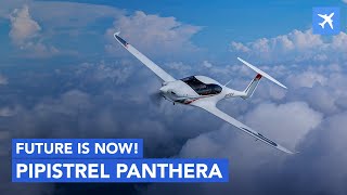 Pipistrel Panthera  Review Specs and Comparison [upl. by Muriel]