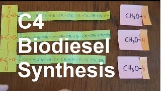 Biodiesel Synthesis [upl. by Ulda]