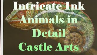 Adult Coloring  Intricate Ink Animals In Detail by Tim Jeffs  Castle Arts  Speed Coloring [upl. by Dasie364]