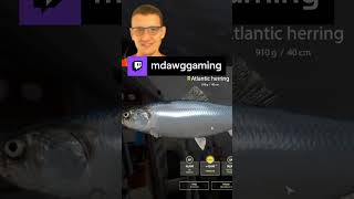 Manifesting a Trophy Herring  mdawggaming on Twitch [upl. by Maram]