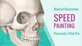 Medical Illustration Speed Painting on iPad Pro using Procreate  Timelapse [upl. by Llenil677]