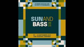 Alibi  MC Lowqui  Sun and Bass 2023 [upl. by Wickham38]