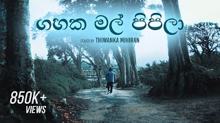 Gahaka Mal Pipila  ගහක මල් පිපිලා  Cover by Thiwanka Mihiran [upl. by Locklin175]