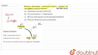 Ribulose diphosphate carboxylase enzyme catalyses the carboxylation reaction between [upl. by Hotchkiss]