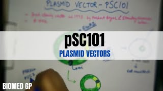 Plasmid vectors  pSC101  BioMed GP [upl. by Roban]