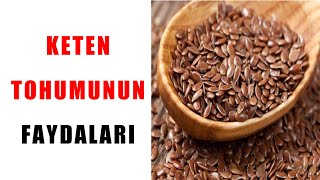 KETEN TOHUMUNUN FAYDALARI  KETEN TOHUMU NASIL KULLANILIR  OMEGA 3 FAYDALARI  FztAynur BAŞ [upl. by Comyns487]