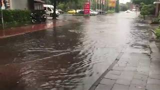 Überflutungen in Emlichheim Grafschaft Bentheim nach Starkregen  01062018 [upl. by Bolme991]