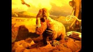 Saber Tooth Cat and Giant Sloth Animatronics at La Brea Tar Pits [upl. by Aneehta]