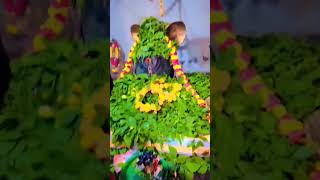 Eshwara parameshwara  viral video pls subscribe fds [upl. by Arikat]