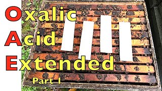 Extended Release Oxalic Acid Field Trials [upl. by Patric460]